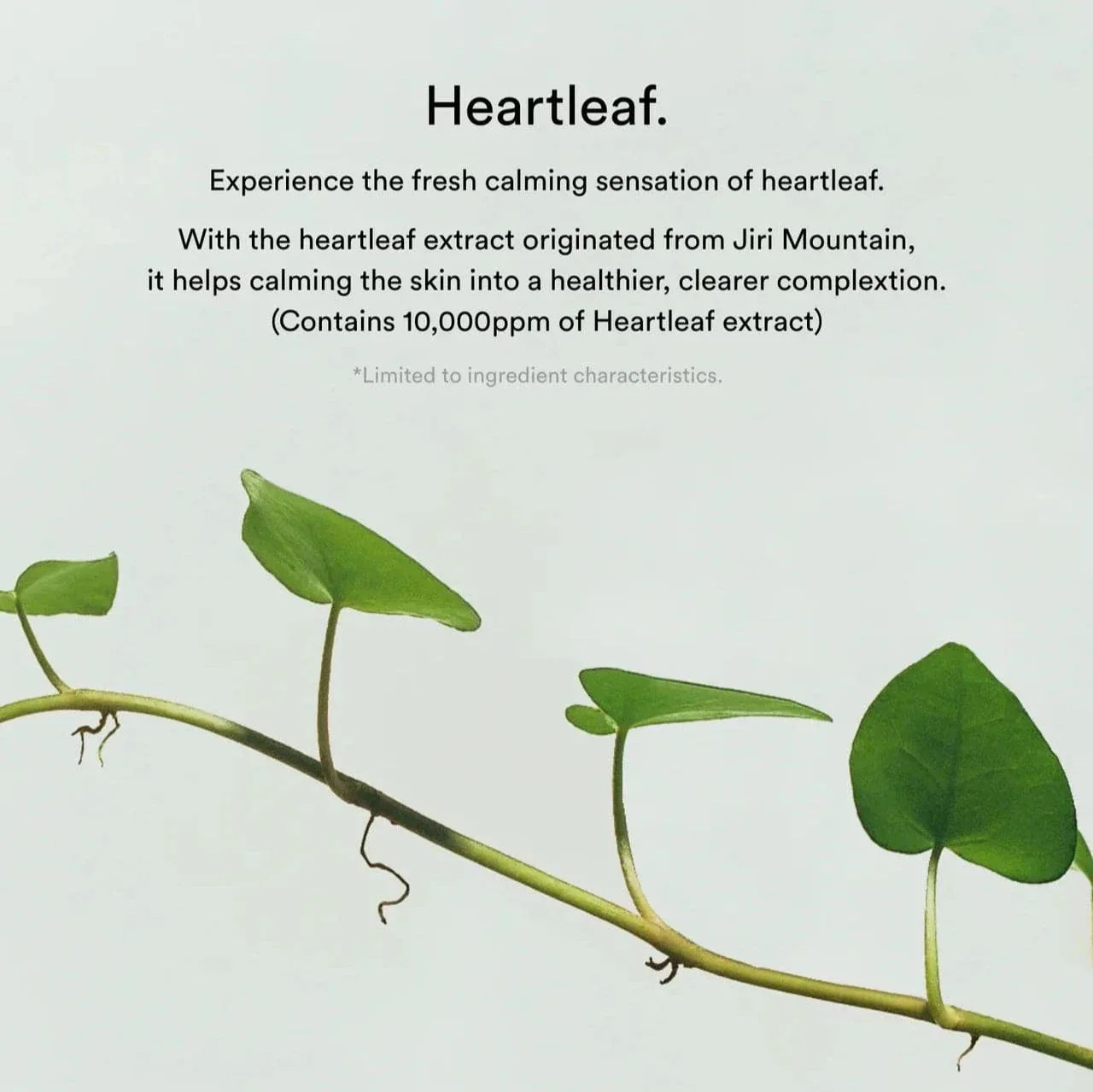 ABIB Collagen Gel Mask Heartleaf Jelly (1ea) - Image 13