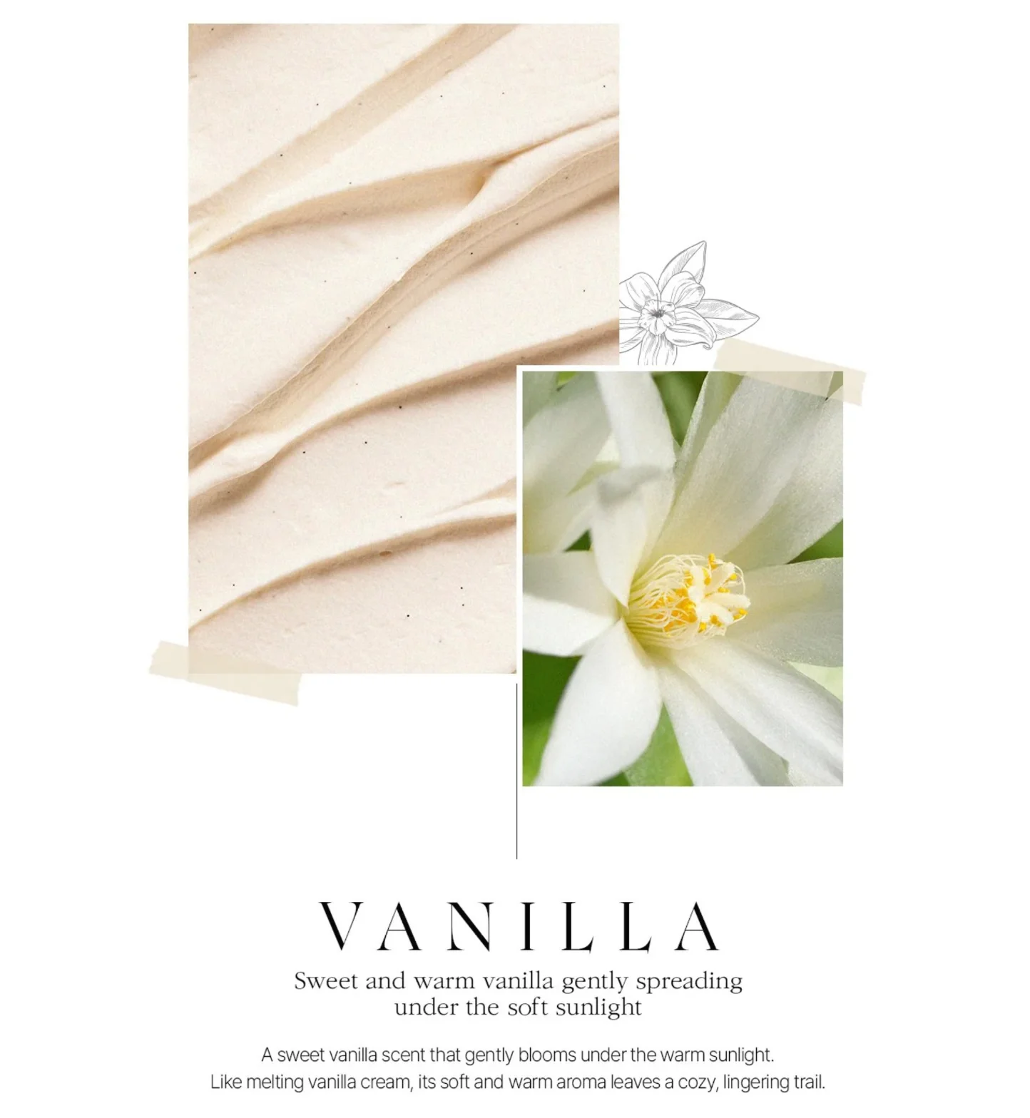 BOM Chiffon Vanilla Perfume Body Mist 110ml - Image 14