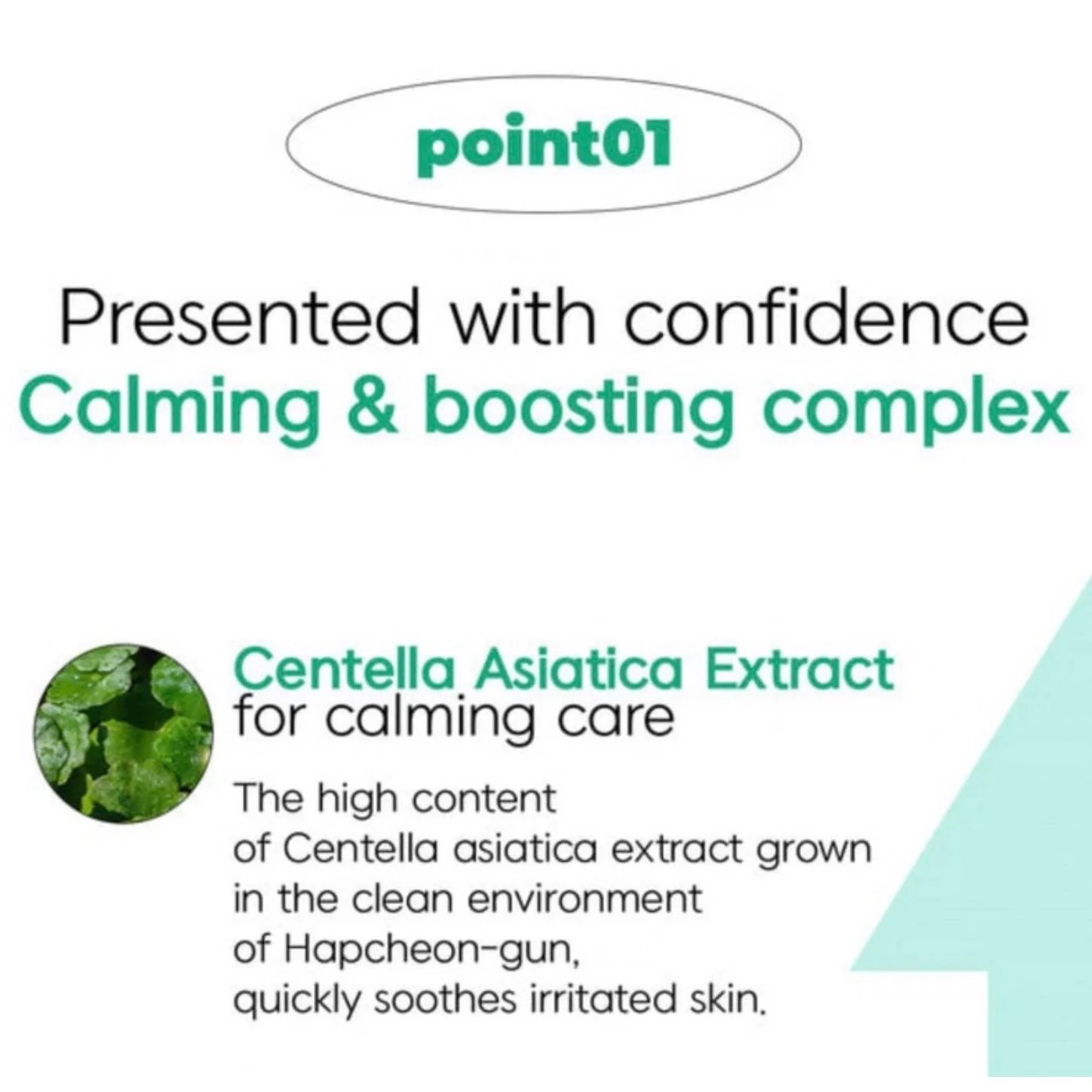DEOPROCE AC CICA CALMING BOOSTING ESSENCE LOTION 150ml - Image 5
