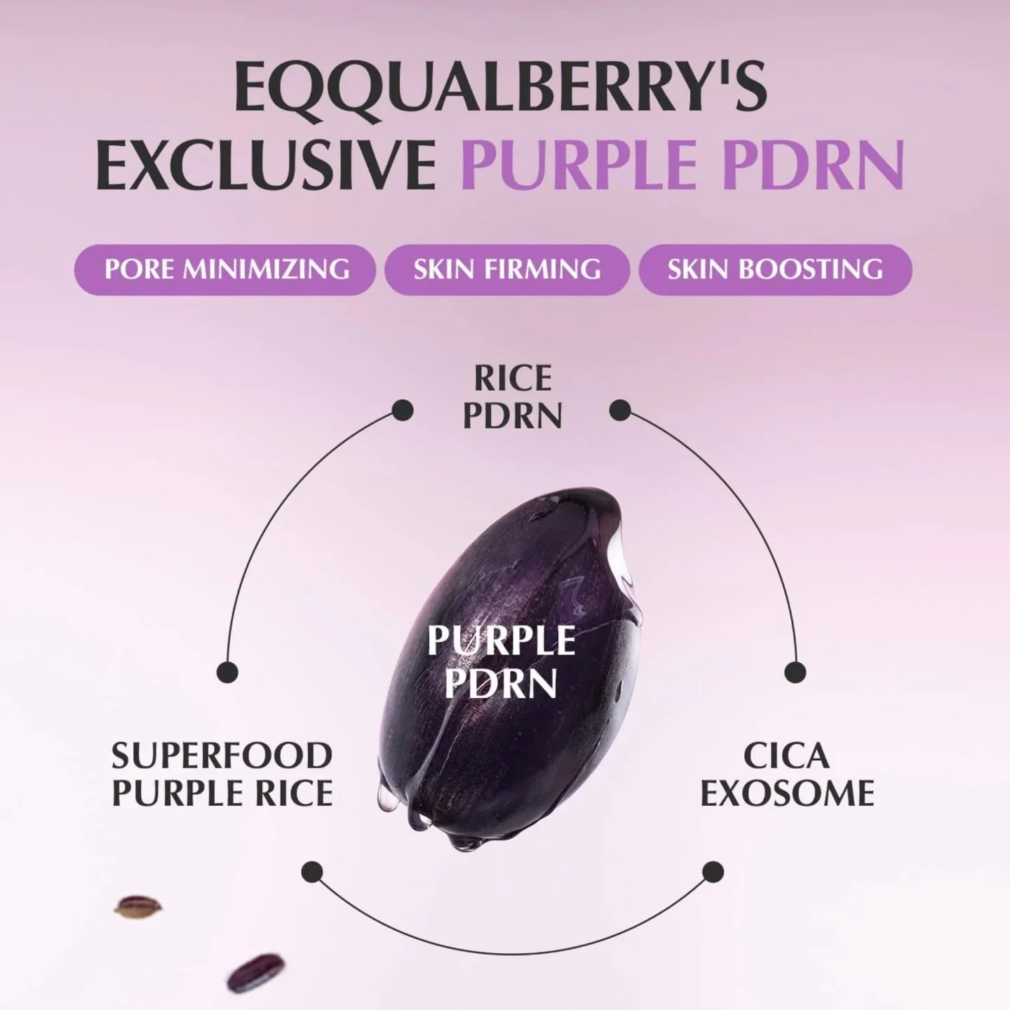 EQQUALBERRY Purple Pdrn Pore Minimizing Serum 30ml - Image 6