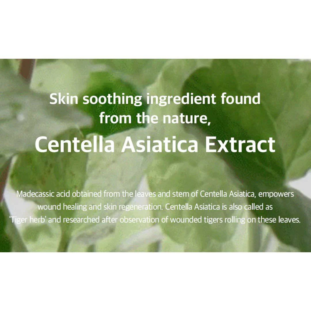 MIXSOON Soondy Centella Asiatica Essence - Image 7