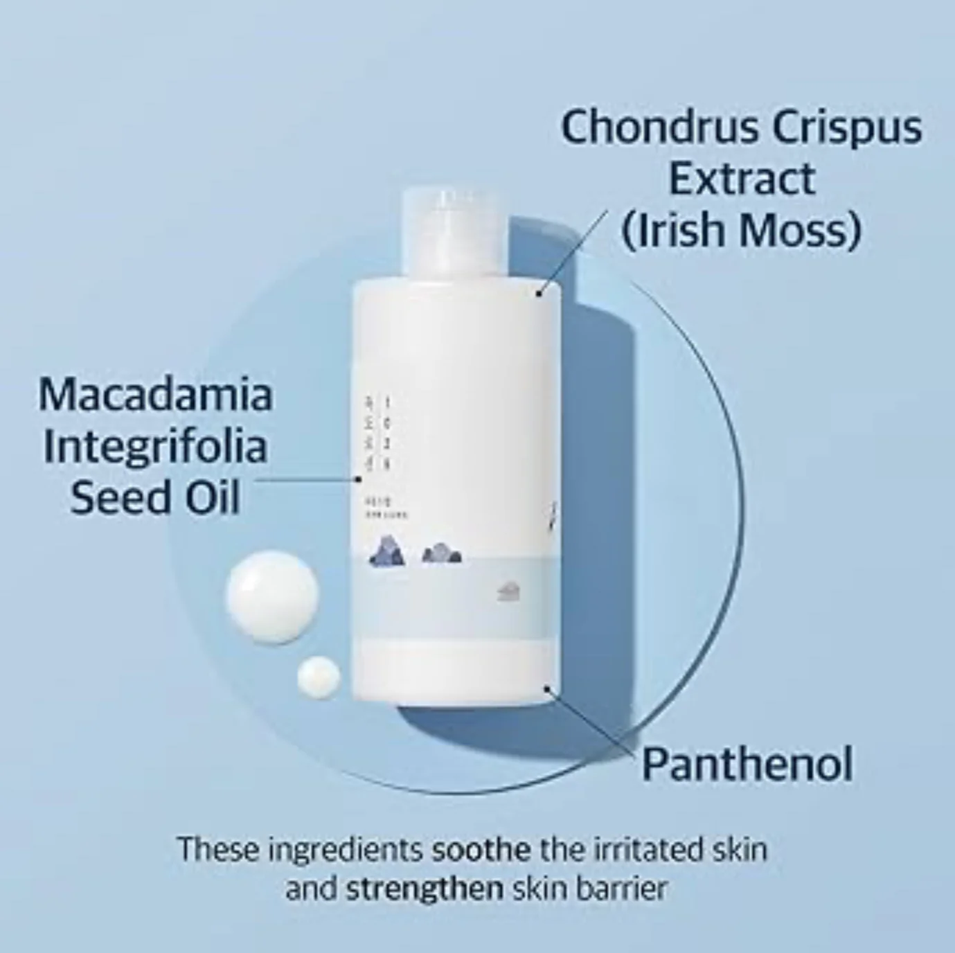 Round Lab 1025 Dokdo Lotion - Image 6